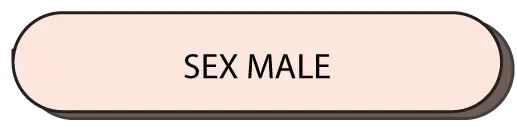 SEX MALE